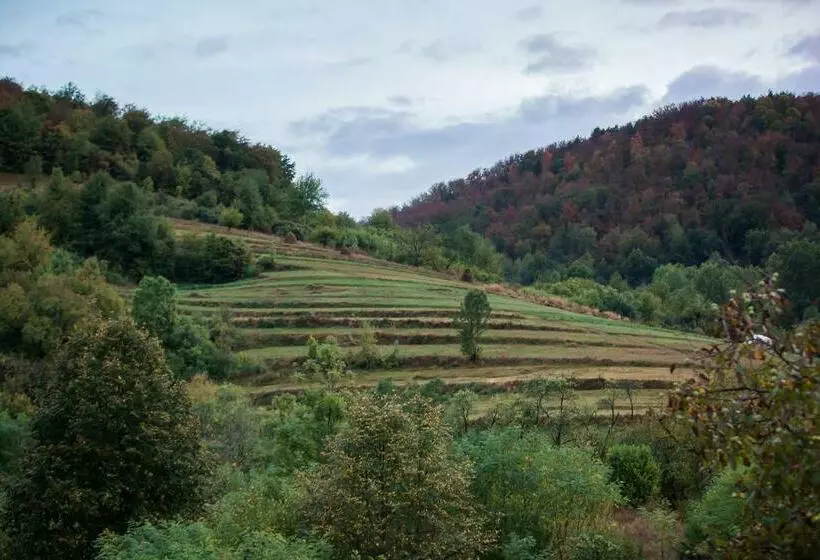 هاستل Muma Codrului