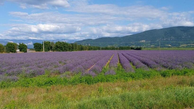 Bed and Breakfast Chambre D Hôtes Des Loyes