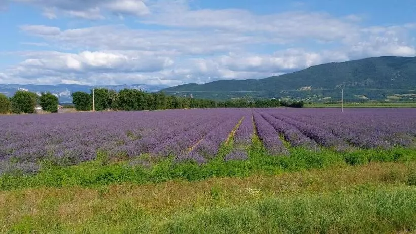 ベッドアンドブレックファースト Chambre D Hôtes Des Loyes