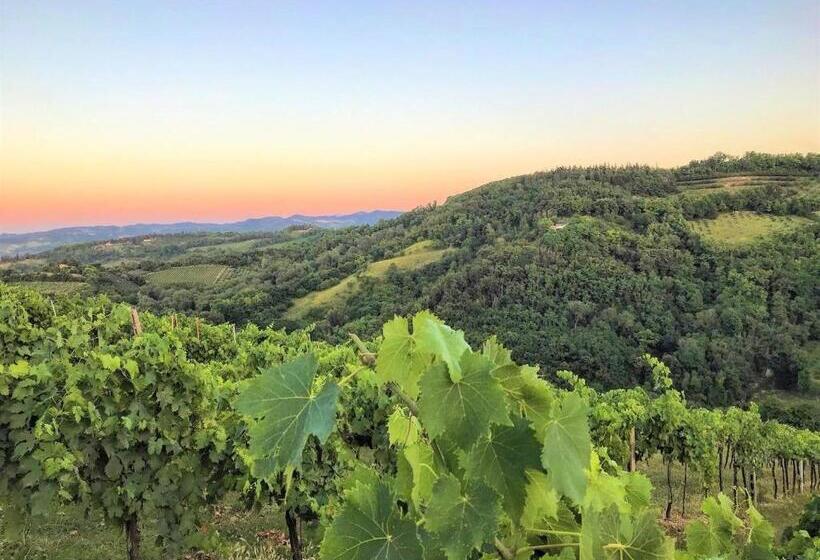 בית מלון כפרי Podere Baratta Agriturismo E Cantina