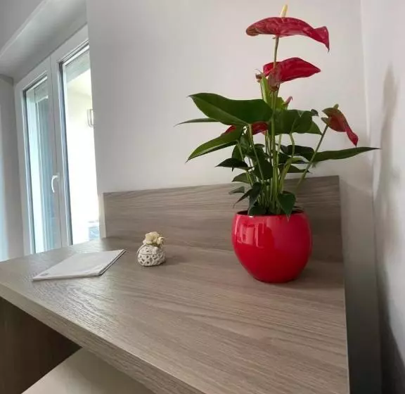 Mini B&b   Enrico Fermi