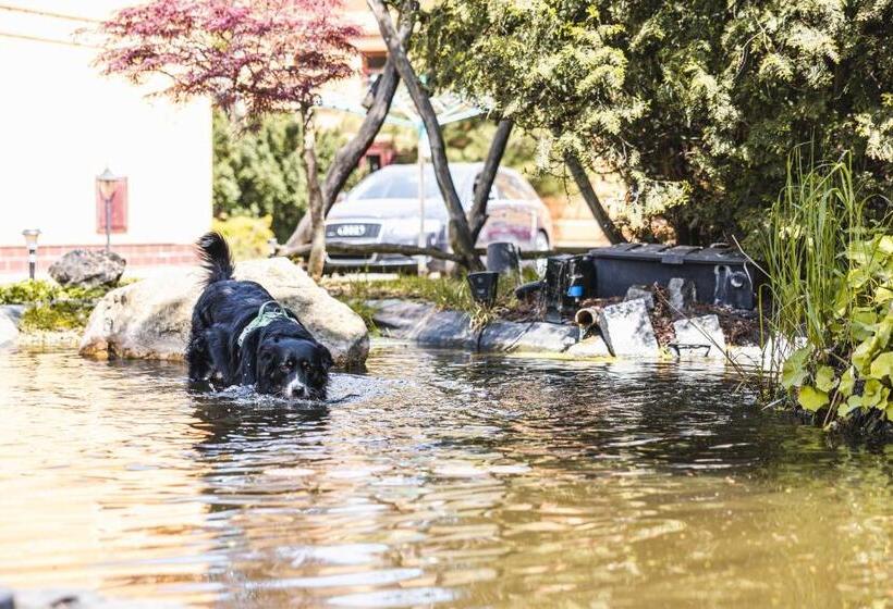 膳宿费 Penzion Selský Dvůr Braňany