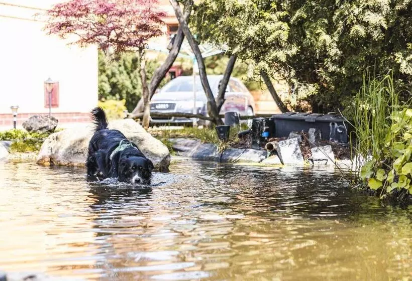 Majatalo Penzion Selský Dvůr Braňany