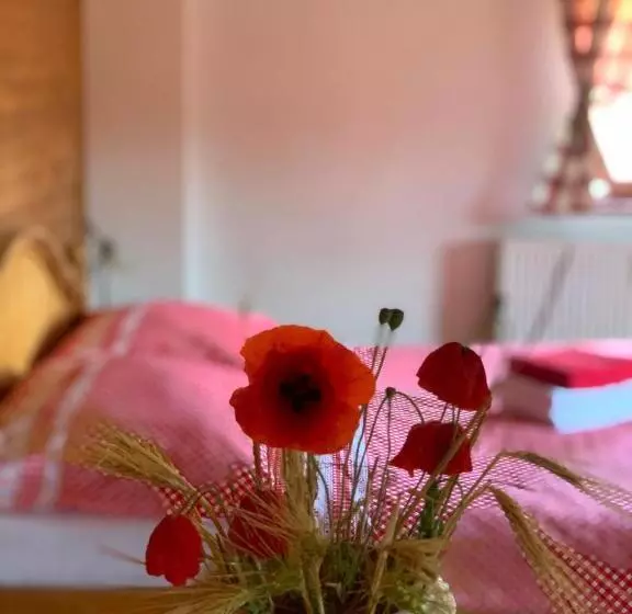 Majatalo Penzion Selský Dvůr Braňany