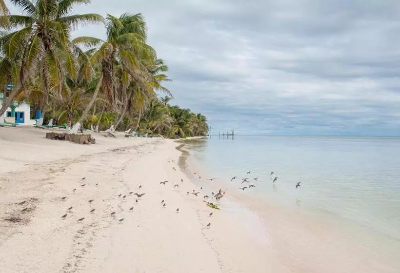 Hotelli Tranquility Bay Resort