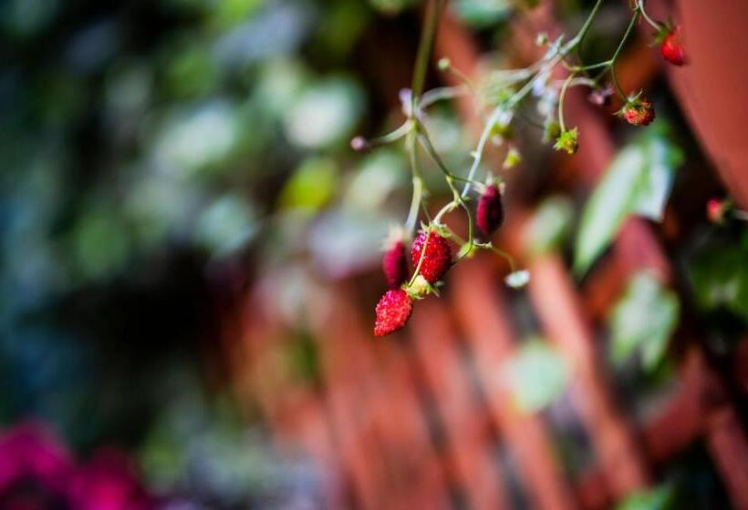 Пансион Apartamenty Schoeps Residence