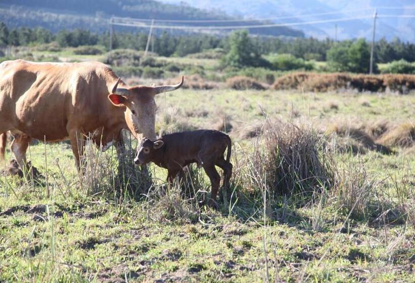 פנסיון The Farmstead