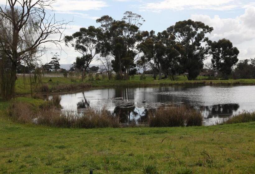 פנסיון The Farmstead