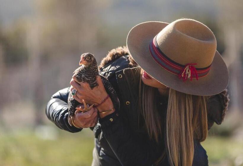 פנסיון The Farmstead