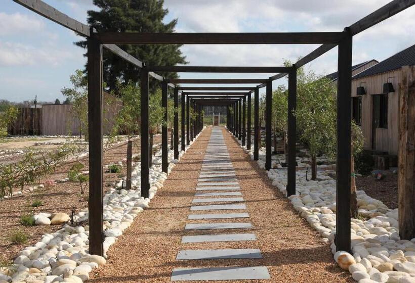 פנסיון The Farmstead