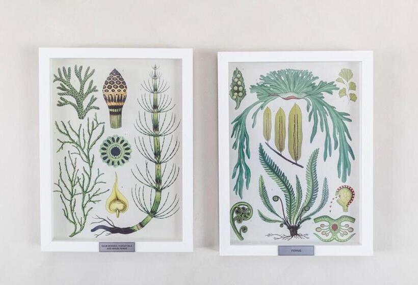 פנסיון The Farmstead