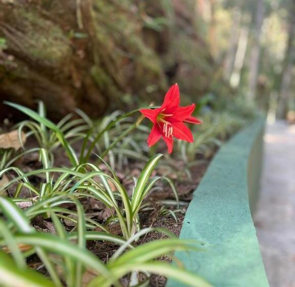 住宿加早餐 Recanto Dos Sonhos Guest House