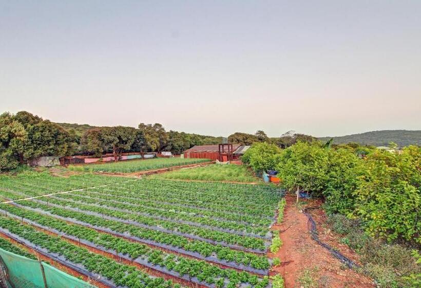 Hotel Treebo La Paradise