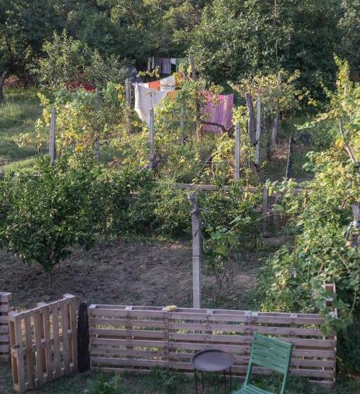 膳宿费 The House In The Village