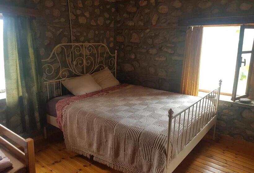 膳宿费 The House In The Village