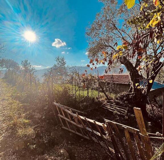 膳宿费 The House In The Village