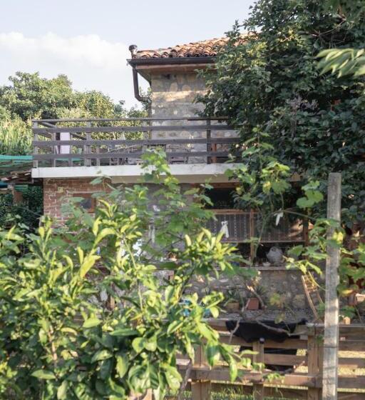 膳宿费 The House In The Village