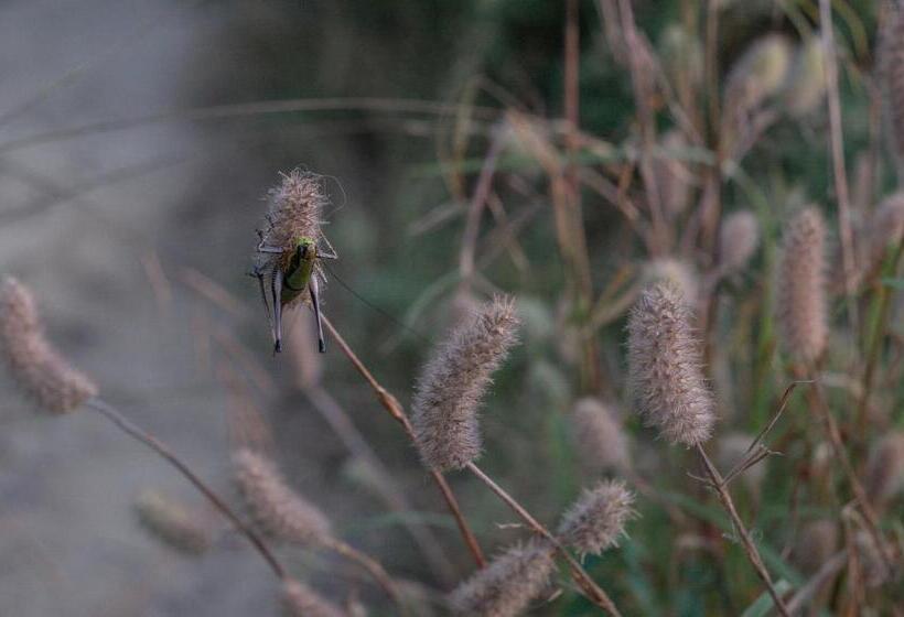 膳宿费 The House In The Village
