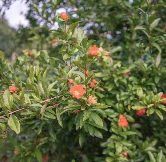 膳宿费 The House In The Village