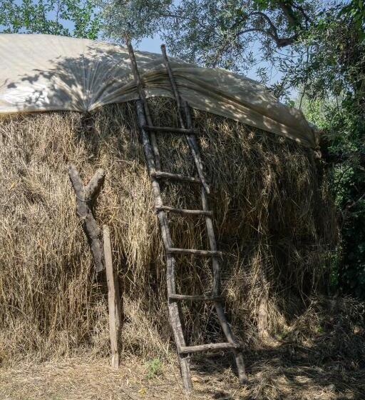 膳宿费 The House In The Village