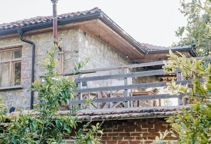 膳宿费 The House In The Village