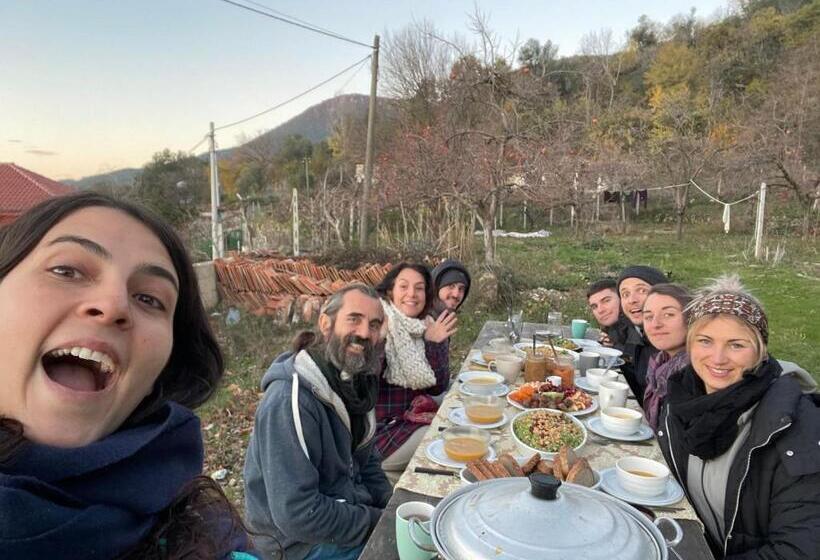 膳宿费 The House In The Village