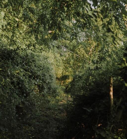 膳宿费 The House In The Village