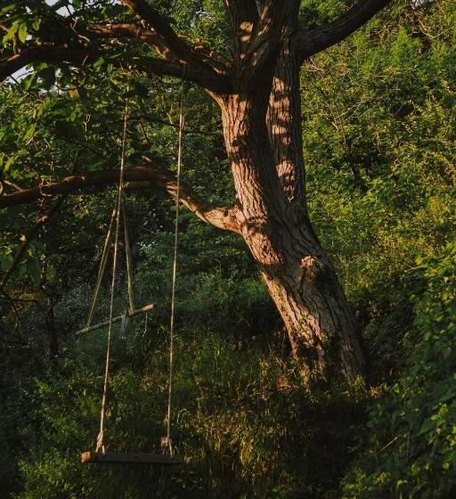 膳宿费 The House In The Village