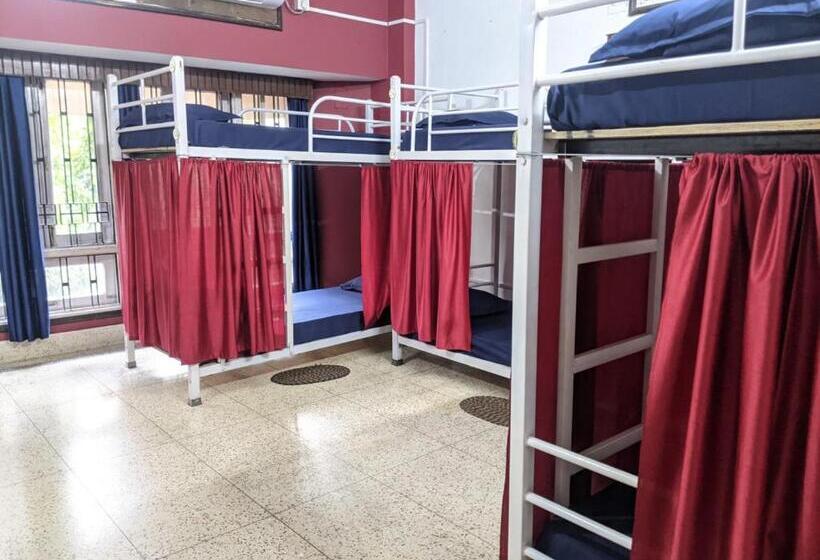 فندق صغير Mezenga Backpackers