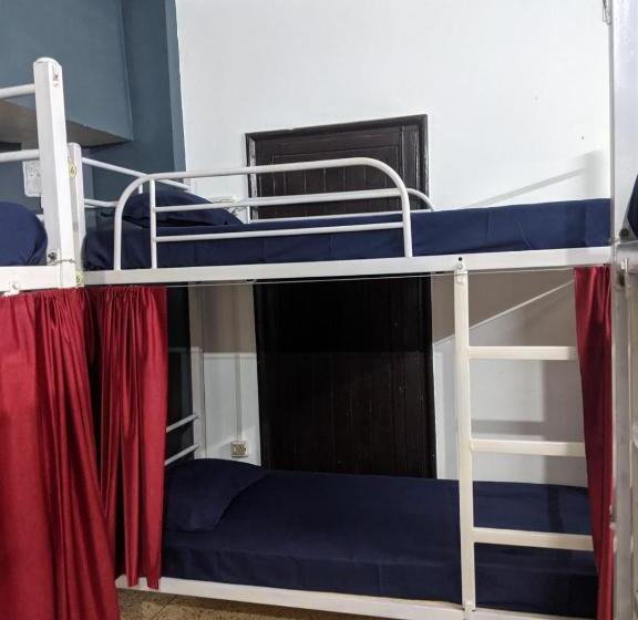 فندق صغير Mezenga Backpackers