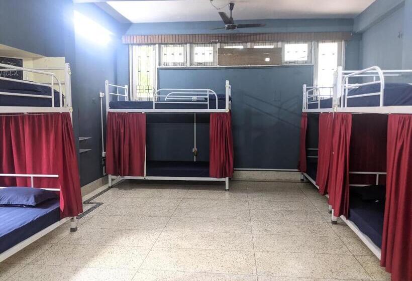 فندق صغير Mezenga Backpackers