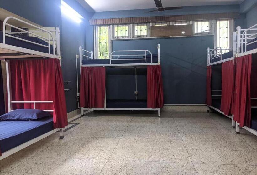 فندق صغير Mezenga Backpackers