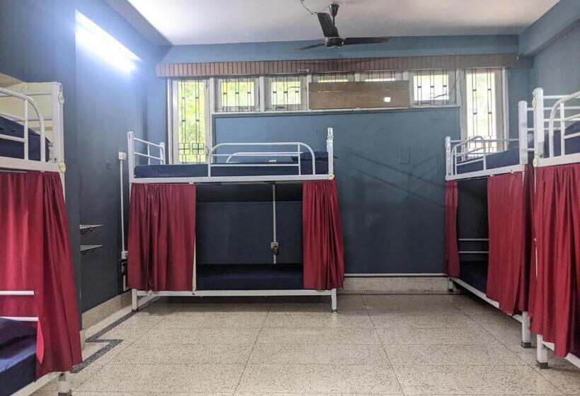 فندق صغير Mezenga Backpackers