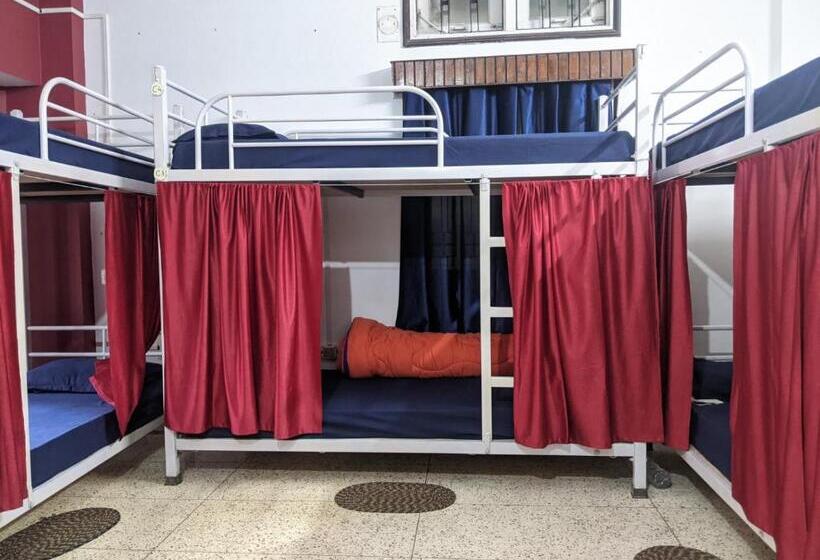 فندق صغير Mezenga Backpackers