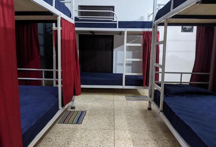 فندق صغير Mezenga Backpackers