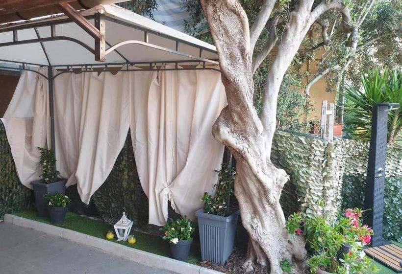 住宿加早餐  Seahorseroom