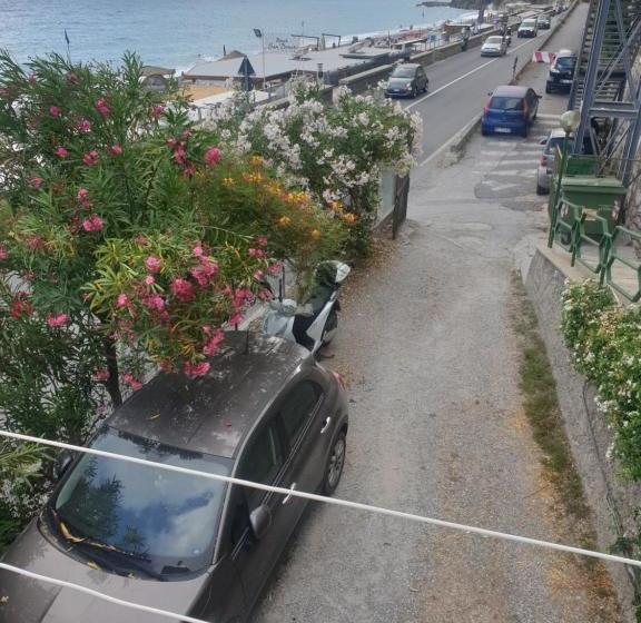 住宿加早餐  Seahorseroom