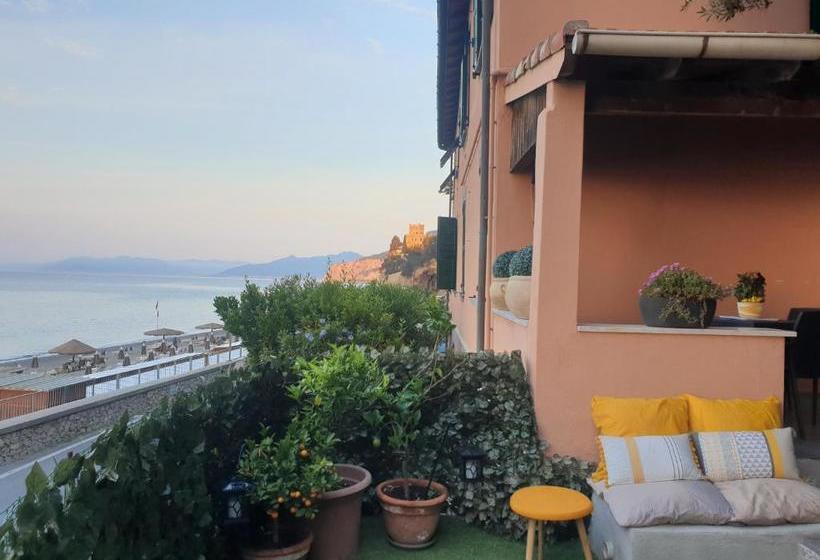 住宿加早餐  Seahorseroom