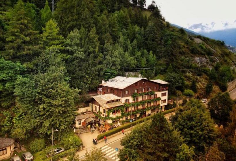 בית מלון כפרי Daniela