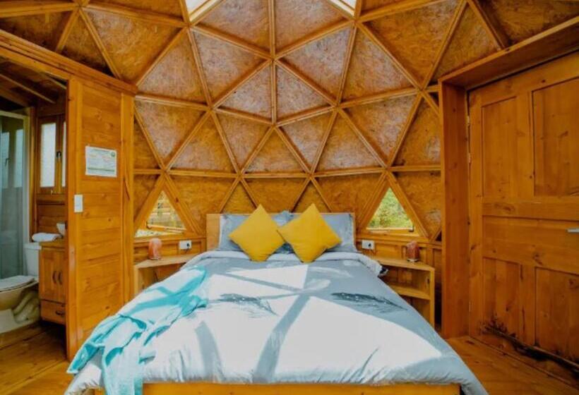 فندق Los Nopales Glamping