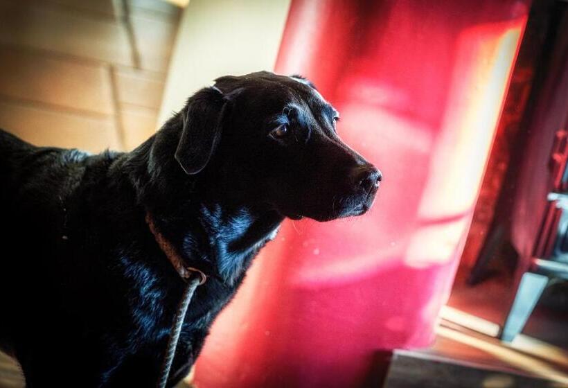 Hotel The Chilterns Fox