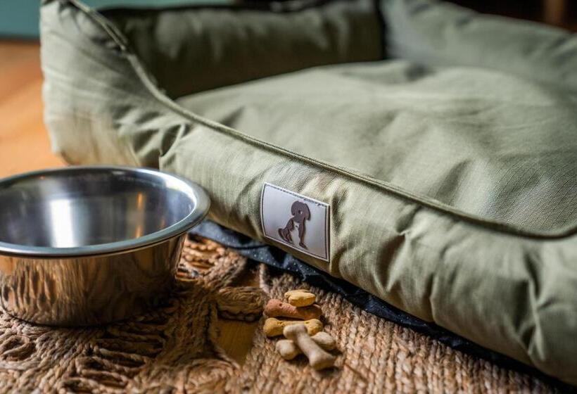 هتل The Queens Chew Magna