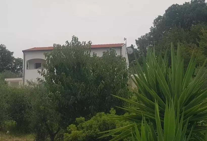 Majatalo Verde Matematico