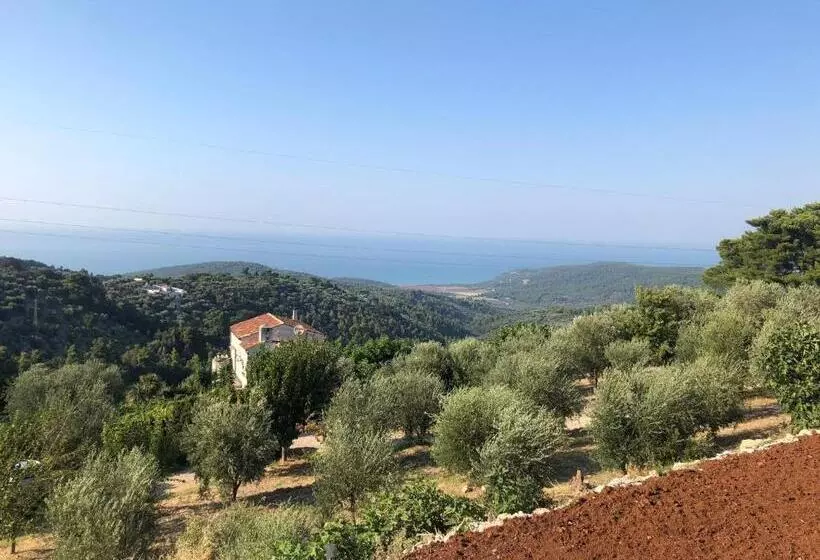 Majatalo Verde Matematico