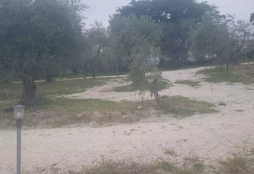 Majatalo Verde Matematico