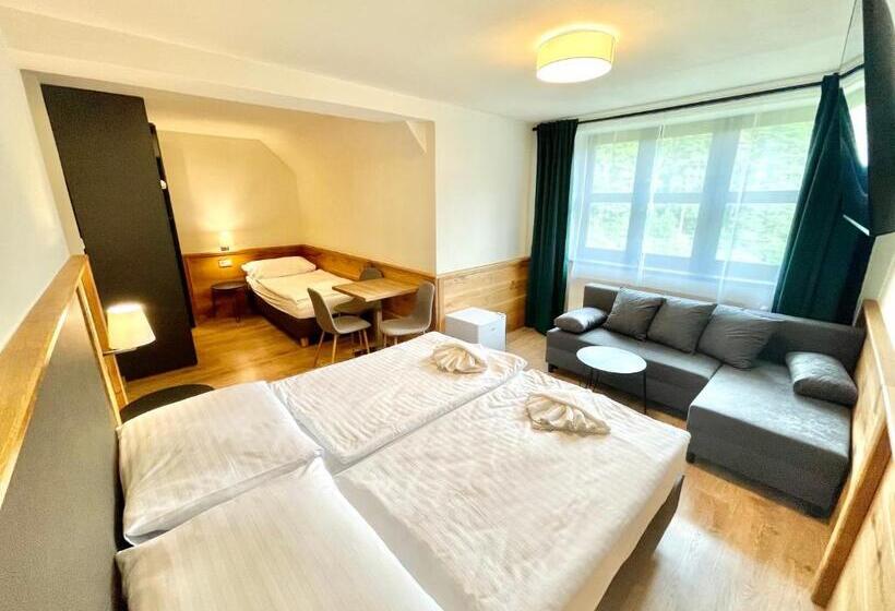 פנסיון Villa Pinus Slovenský Raj   Hotel čingov Dependance