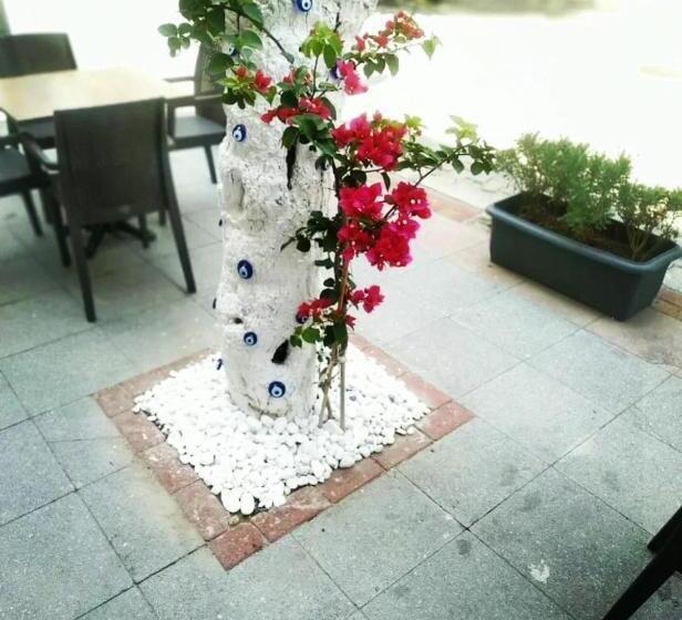 Отель Punta Vista