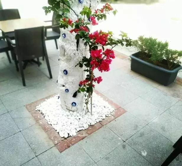 ホテル Punta Vista