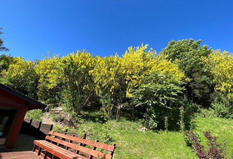 Solar Selvana   Casas De Montaña