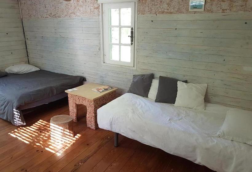 Bed and Breakfast Maison D Hôtes Le Calme